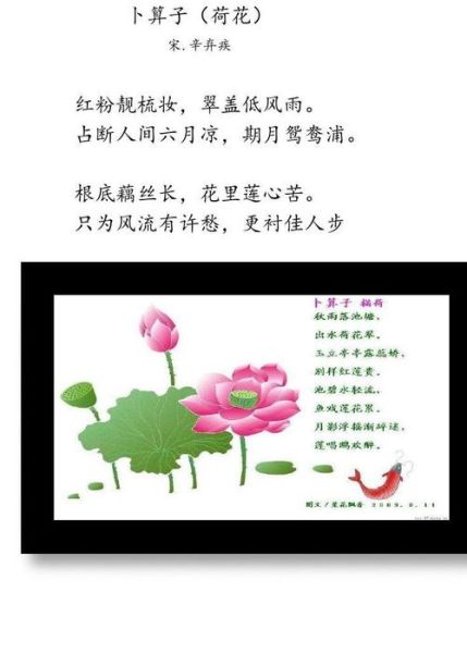 荷叶蜻蜓有什么寓意_荷叶蜻蜓诗句有哪些