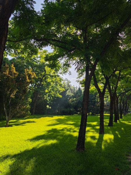 晨光天空怎么拍_晨光天空最佳拍摄时间