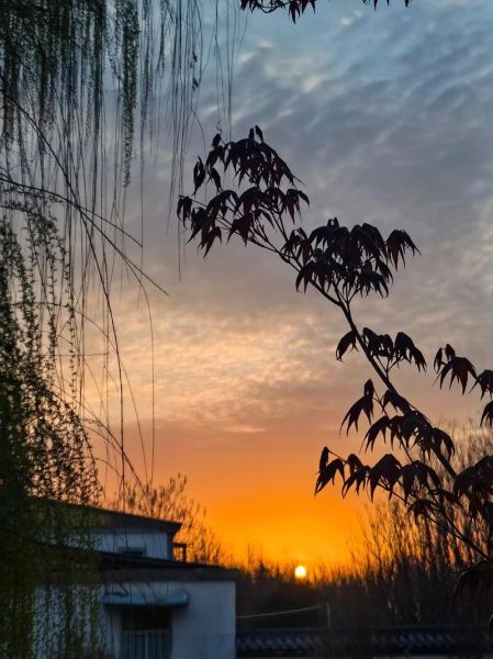 晨光天空怎么拍_晨光天空最佳拍摄时间