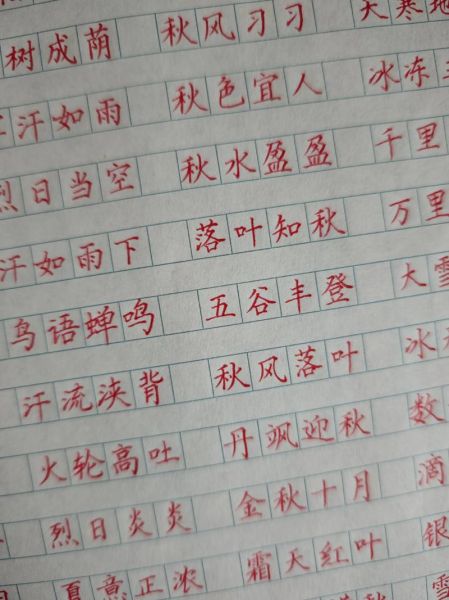 写者是词语吗_写者是不是现代汉语规范词