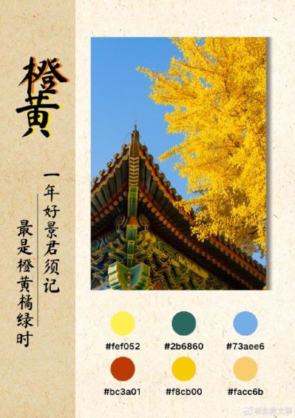 橙黄配什么颜色好看_橙黄色代表什么寓意