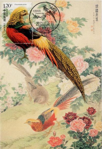 锦鸡报晓是什么意思_锦鸡报晓的寓意有哪些