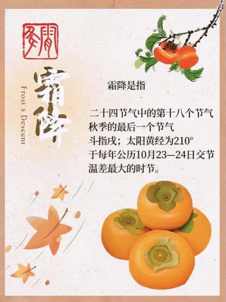 降霜是什么意思_降霜和霜降的区别