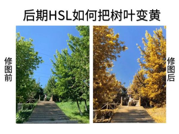 绿色树叶为什么会变黄_绿色树叶变黄怎么办