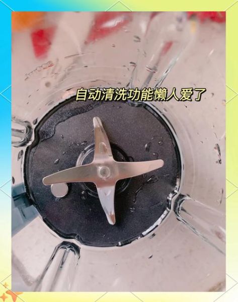 西瓜汁怎么做_西瓜汁要不要去籽