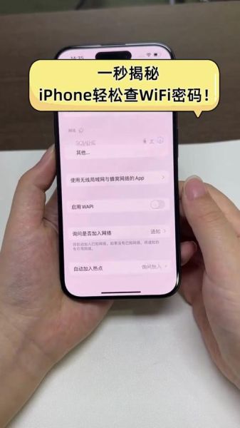 苹果手机怎么看wifi密码_iPhone已连接WiFi密码在哪看