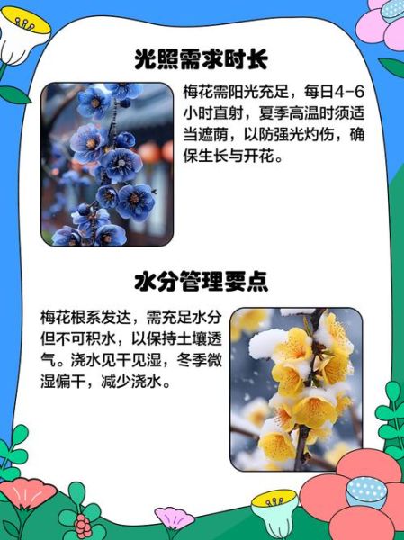 花儿如何生长_花儿生长需要什么条件