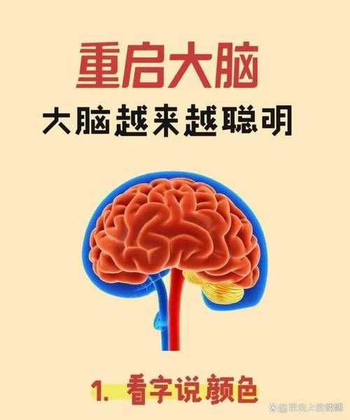 头脑智慧是什么_如何提升头脑智慧