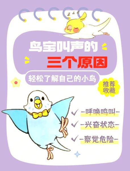 鸟儿喳喳叫个不停_鸟儿喳喳叫个不停是什么原因
