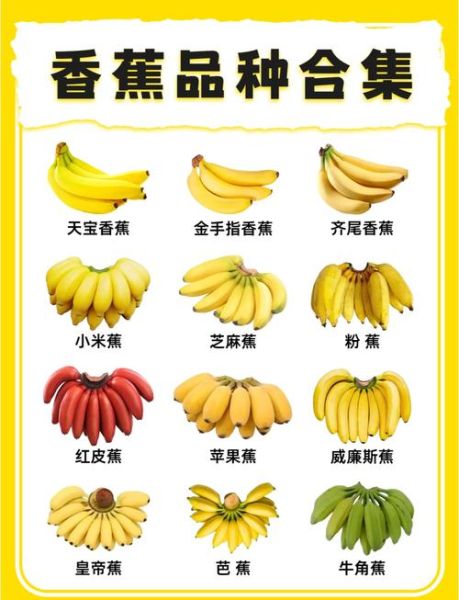 香蕉有哪些词语_香蕉的词语怎么写
