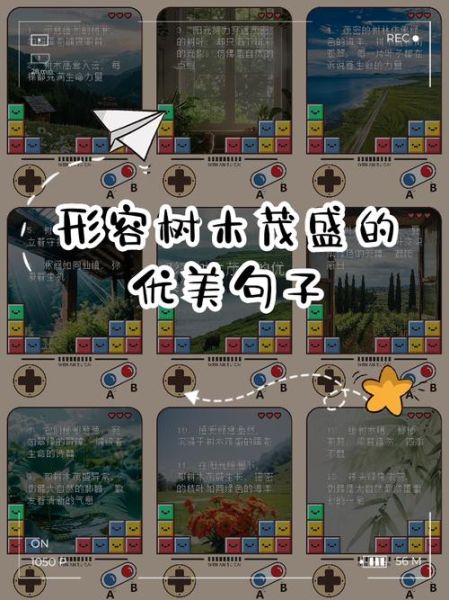 树木茂盛_如何形容树木茂盛