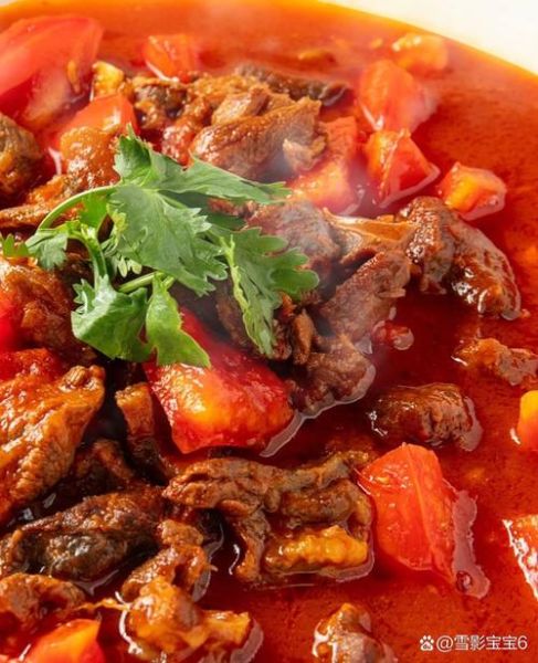 西红柿炖牛肉怎么做好吃_西红柿炖牛肉的家常做法