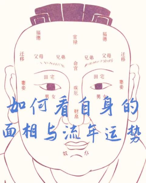 鼻子形状看财运_如何通过鼻子判断财富运势