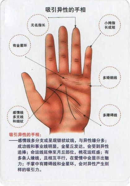 中年后财运手相_如何看手相判断中年财富
