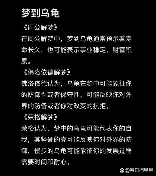 梦到被乌龟追_梦见乌龟追我是什么意思