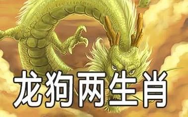 狗年龙属相运势如何_狗年龙属相婚配好吗