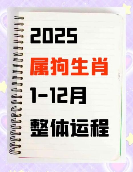 狗属相今年多大了_2024年虚岁实岁对照表