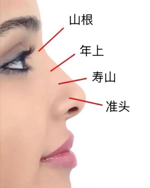 鼻子瘦窄财运真的好吗_鼻子瘦窄面相解析