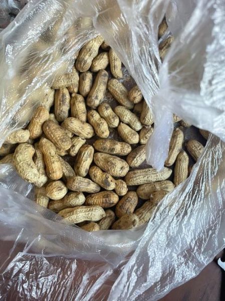 梦到炒花生_什么预兆