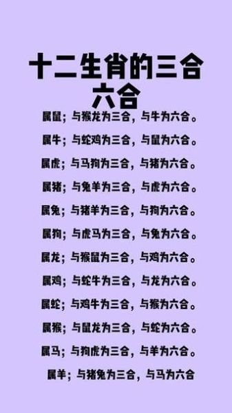 鸡狗属相和吗_鸡狗婚姻配对好吗