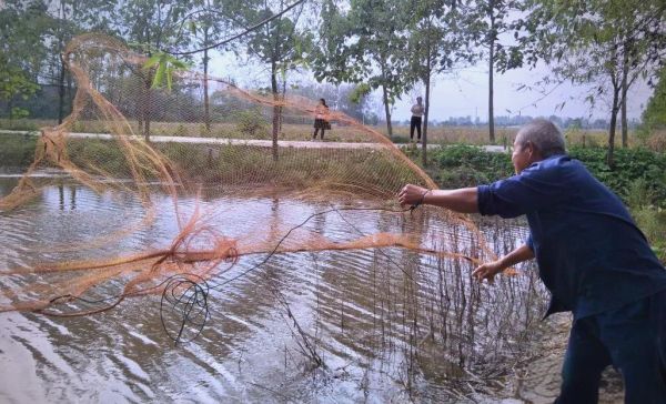 梦到逮鱼好不好_梦见抓鱼是吉兆吗