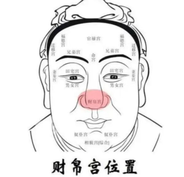 鼻子怎样看财运_鼻子看财运准吗