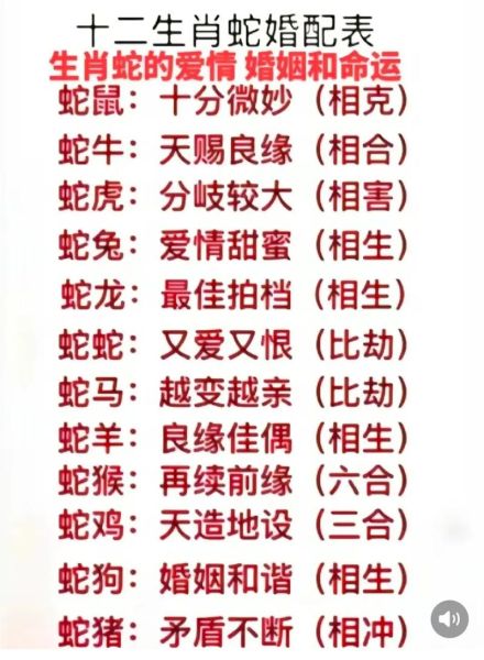 老鼠和蛇属相合不合_婚姻财运如何