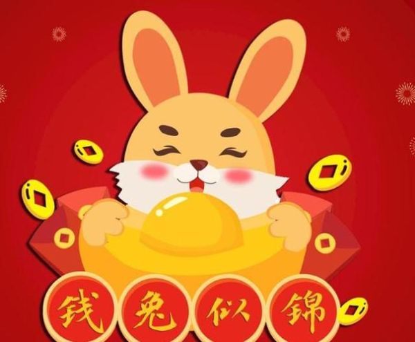 属兔的女人哪年财运好_属兔女旺财运年份