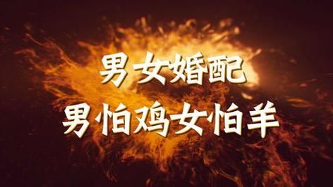 男鸡和羊的属相合吗_属鸡男与属羊女婚姻配对如何