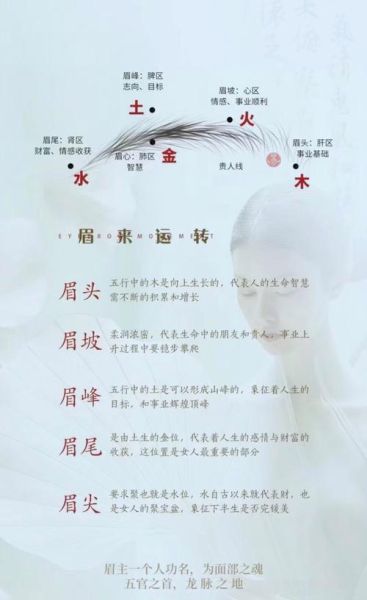 眉毛看财运口诀_如何通过眉毛判断财富运势