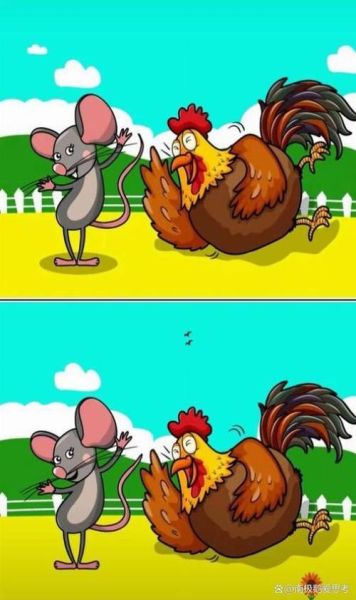 鸡配鼠的财运如何_鸡和鼠合财吗