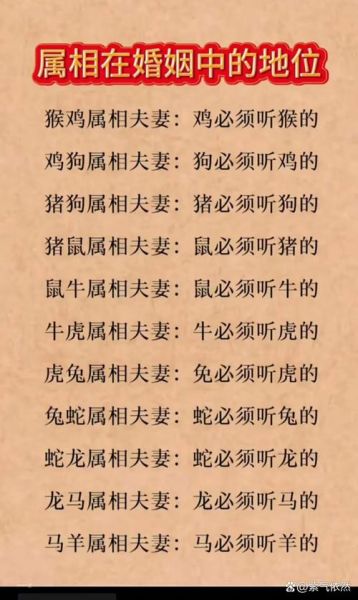 龙男猴女生什么属相宝宝好_龙猴夫妻生什么生肖最旺