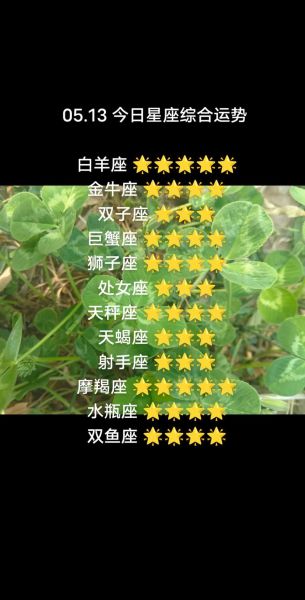 白羊座今日运势如何_白羊座和什么星座最配