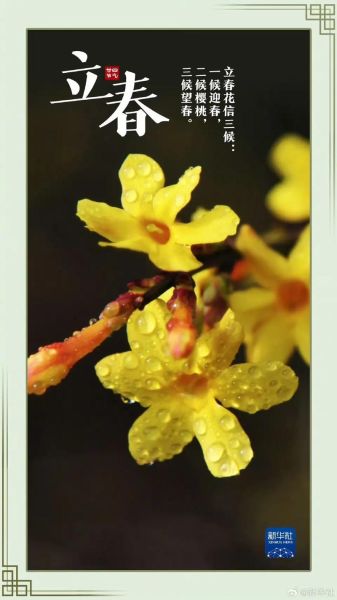 立春属相是什么_立春当天出生属什么