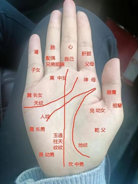 女人哪里看财运_女人财运看哪里最准