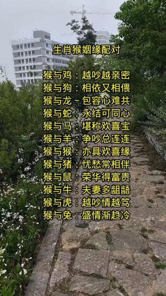 羊和猴的属相合不合_羊猴婚配能长久吗