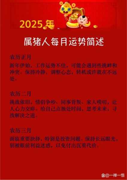 属猪人下半年财运如何_属猪人下半年财运提升方法
