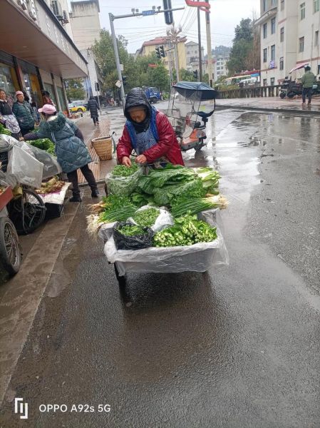 梦见卖菜是什么意思_梦见卖菜预示什么