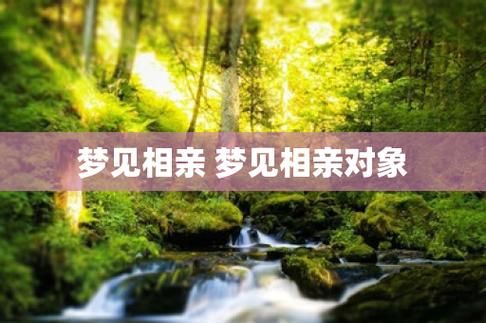 梦到自己相亲是什么意思_梦见相亲预示什么