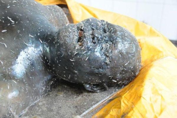 梦到蛆是什么意思_梦见蛆虫预示什么