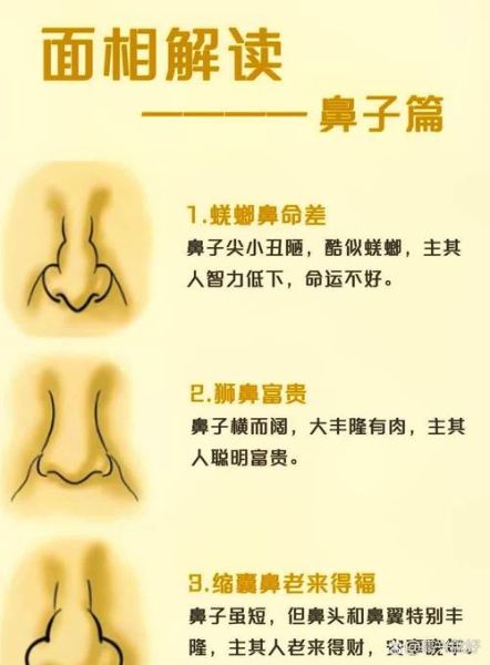 鼻子看财运婚姻_鼻子形状真的影响命运吗