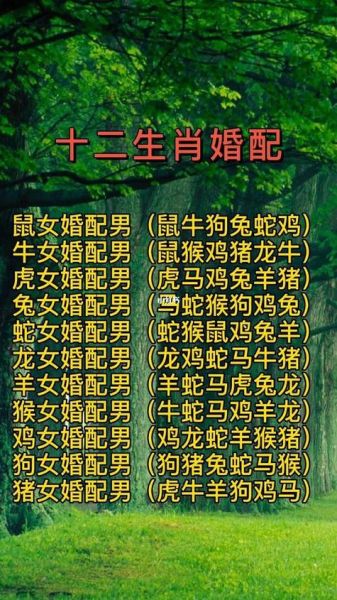 男羊适合找什么属相_属羊男最佳婚配生肖