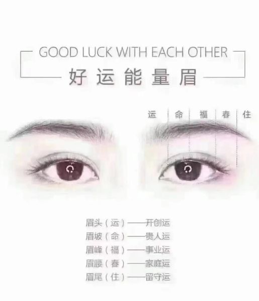 眉毛与财运有关吗_眉毛形状影响财运吗