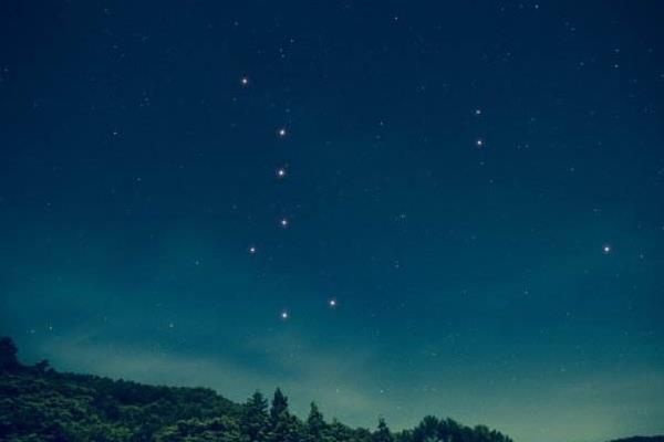 梦到考察是什么意思_梦到考察预示着什么