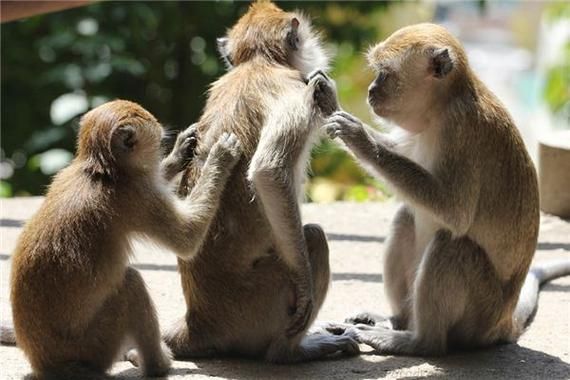 梦到和陌生人一起吃饭是什么意思_如何解梦