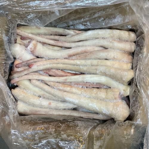 猪尾属相是什么_猪尾属相运势好吗