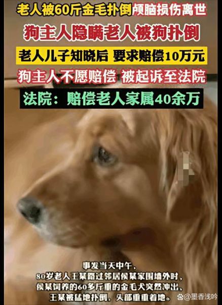 梦到把老狗送走_老狗去世预示什么