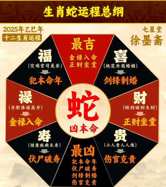 蛇女2019年运势详解_蛇女2019年财运如何