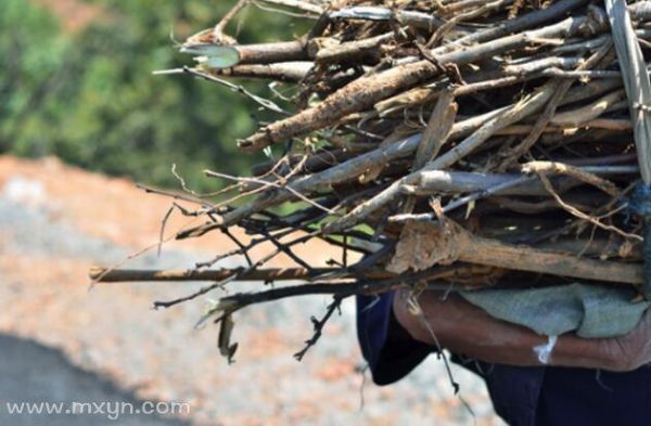 梦到拾柴是什么意思_梦见拾柴是吉是凶