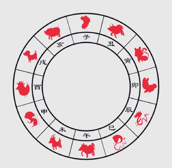 老鼠和什么属相犯冲_鼠冲哪些生肖最厉害